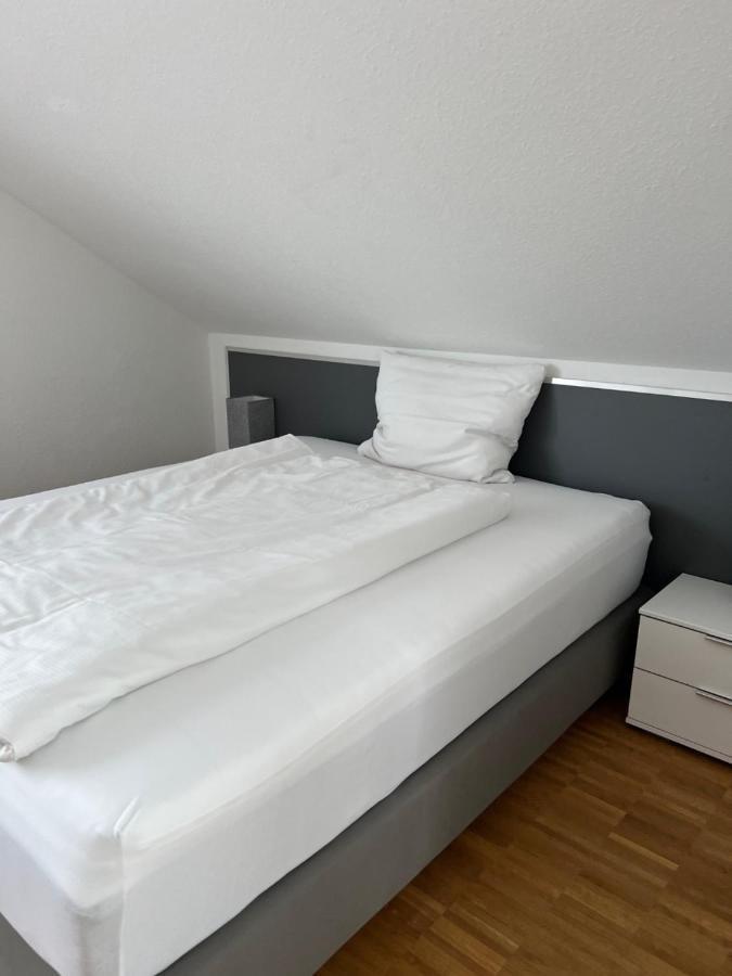 Aparthotel New Age Boardinghaus Bad Wimpfen Exterior foto